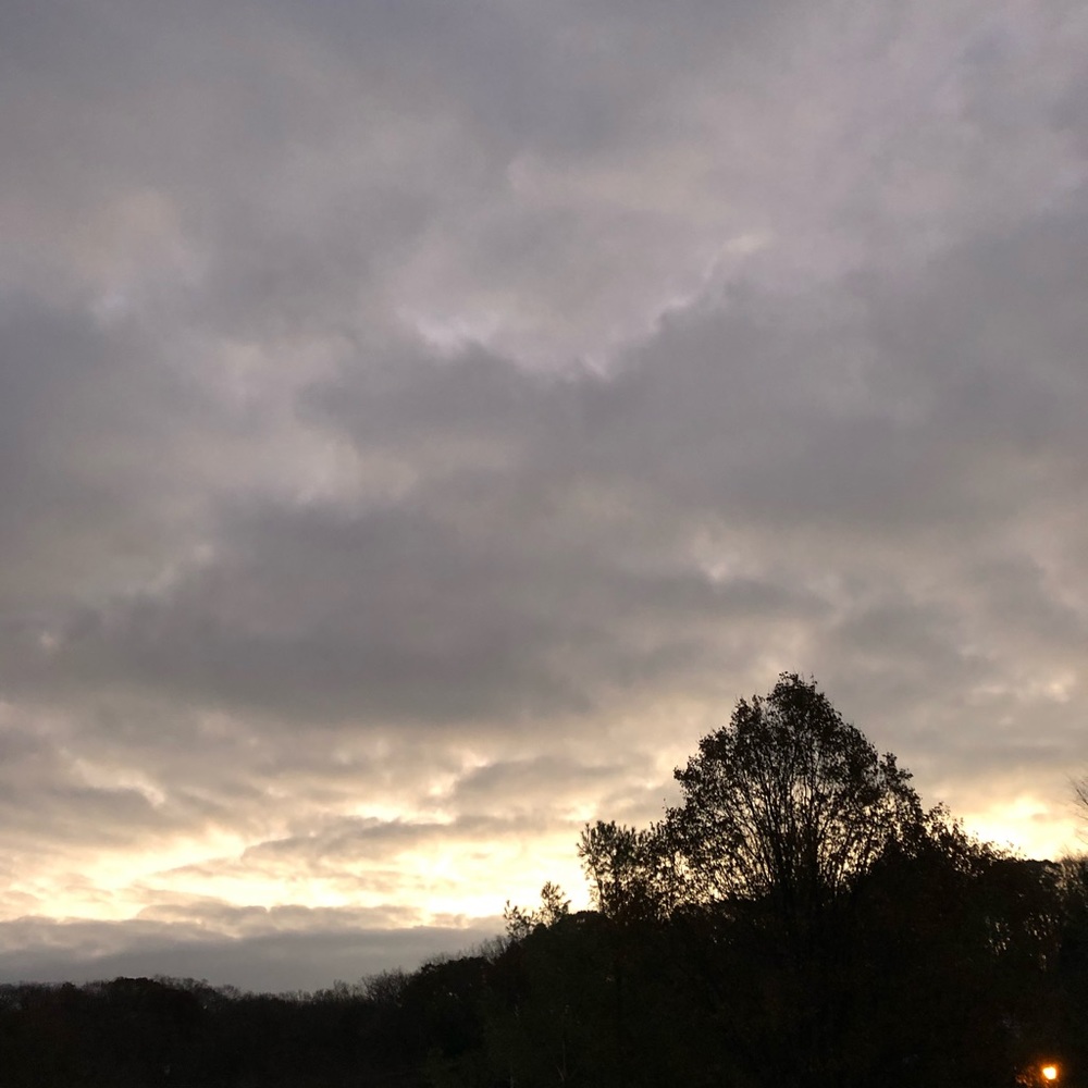 Meet your Posher, Riley